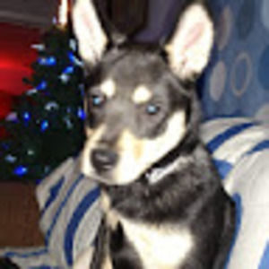 Meet your Posher, Sonya